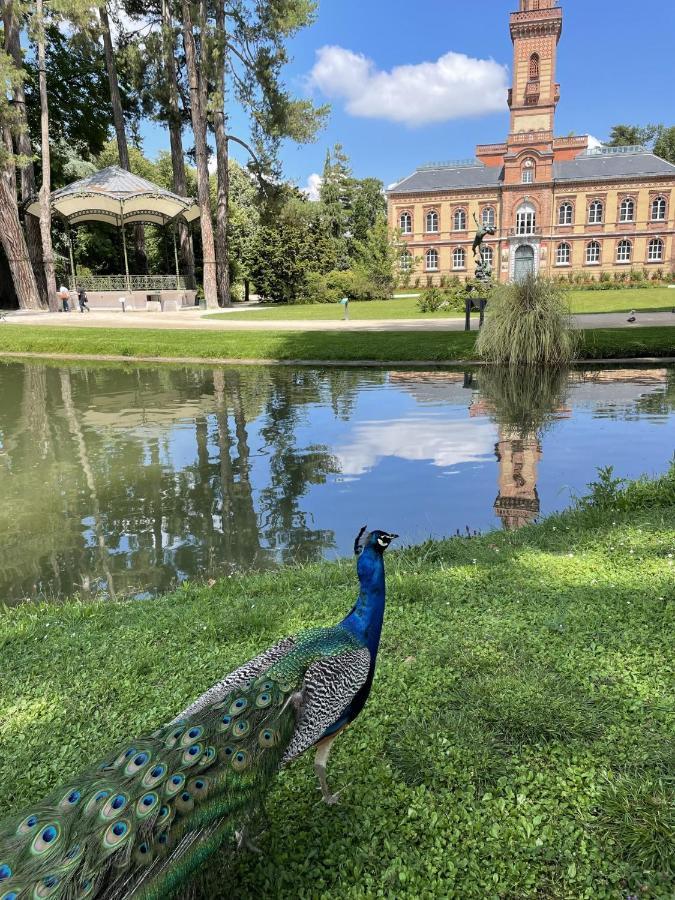 Charmant T2 Avec Grande Terrasse Quartier Jardin Massey Tarbes Eksteriør bilde